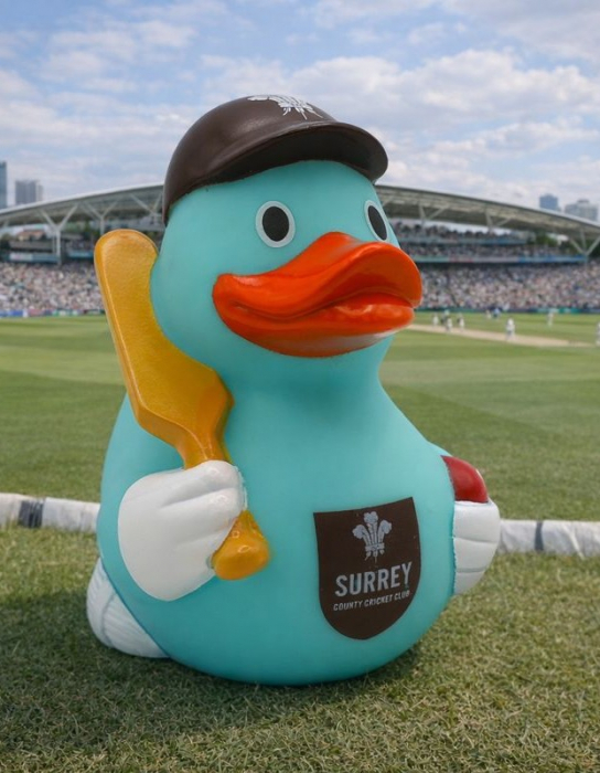 Surrey Rubber Duck